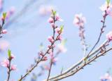 今日更新捕蛇者說練習(xí)（中國詩詞大會結(jié)束了）