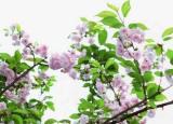 今日更新文藝小清新（文藝小清新唯美的短句）