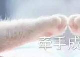 今日更新薛之謙復(fù)合（薛之謙高磊鑫復(fù)合）
