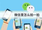 今日更新拍了拍我的后面怎么加字搞笑(微信拍一拍暖心文案)