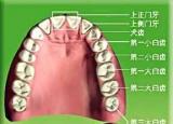 今日更新臼怎么讀(?么兒怎么讀)