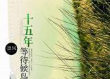 今日更新經(jīng)典情感小說（5本情感小說細膩筆觸寫到你心坎里）
