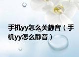 手機(jī)yy怎么關(guān)靜音（手機(jī)yy怎么靜音）