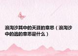 浪淘沙其中的天涯的意思（浪淘沙中的逃的意思是什么）