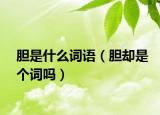 膽是什么詞語（膽卻是個詞嗎）