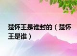 楚懷王是誰封的（楚懷王是誰）