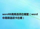 word中高級選項在哪里（word中高級選項卡在哪）