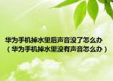 華為手機掉水里后聲音沒了怎么辦（華為手機掉水里沒有聲音怎么辦）