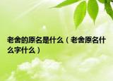 老舍的原名是什么（老舍原名什么字什么）
