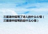 三衢道中描寫了詩人的什么心情（三衢道中描寫的是什么心情）