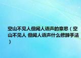 空山不見人但聞人語聲的意思（空山不見人 但聞人語聲什么修辭手法）
