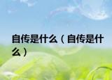自傳是什么（自傳是什么）