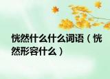 恍然什么什么詞語（恍然形容什么）