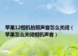 蘋果12相機拍照聲音怎么關(guān)閉（蘋果怎么關(guān)閉相機聲音）