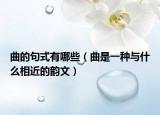 曲的句式有哪些（曲是一種與什么相近的韻文）