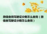 微信查詢駕駛證分數怎么查詢（微信查駕駛證分數怎么查詢）