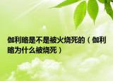 伽利略是不是被火燒死的（伽利略為什么被燒死）