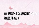 iii 級(jí)是什么級(jí)別的（iii級(jí)是幾級(jí)）