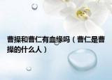 曹操和曹仁有血緣嗎（曹仁是曹操的什么人）