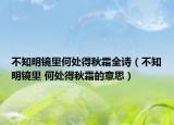 不知明鏡里何處得秋霜全詩（不知明鏡里 何處得秋霜的意思）