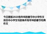 今日更新2023有年味的春節(jié)中小學(xué)作文 適合中小學(xué)生寫的兔年有年味的春節(jié)經(jīng)典作文