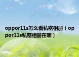 oppor11s怎么看私密相冊（oppor11s私密相冊在哪）