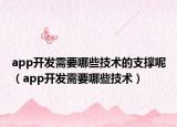 app開發(fā)需要哪些技術(shù)的支撐呢（app開發(fā)需要哪些技術(shù)）