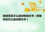 微信語(yǔ)音怎么自動(dòng)轉(zhuǎn)成文字（微信語(yǔ)音怎么自動(dòng)轉(zhuǎn)文字）
