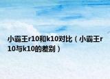 小霸王r10和k10對(duì)比（小霸王r10與k10的差別）