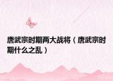 唐武宗時(shí)期兩大戰(zhàn)將（唐武宗時(shí)期什么之亂）