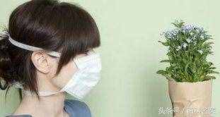 春季楊柳絮紛飛，導致過敏，怎么辦？如何預(yù)防過敏發(fā)生？