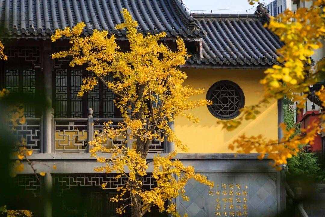 8首秋分詩(shī)詞：在詩(shī)詞里，走一趟秋天
