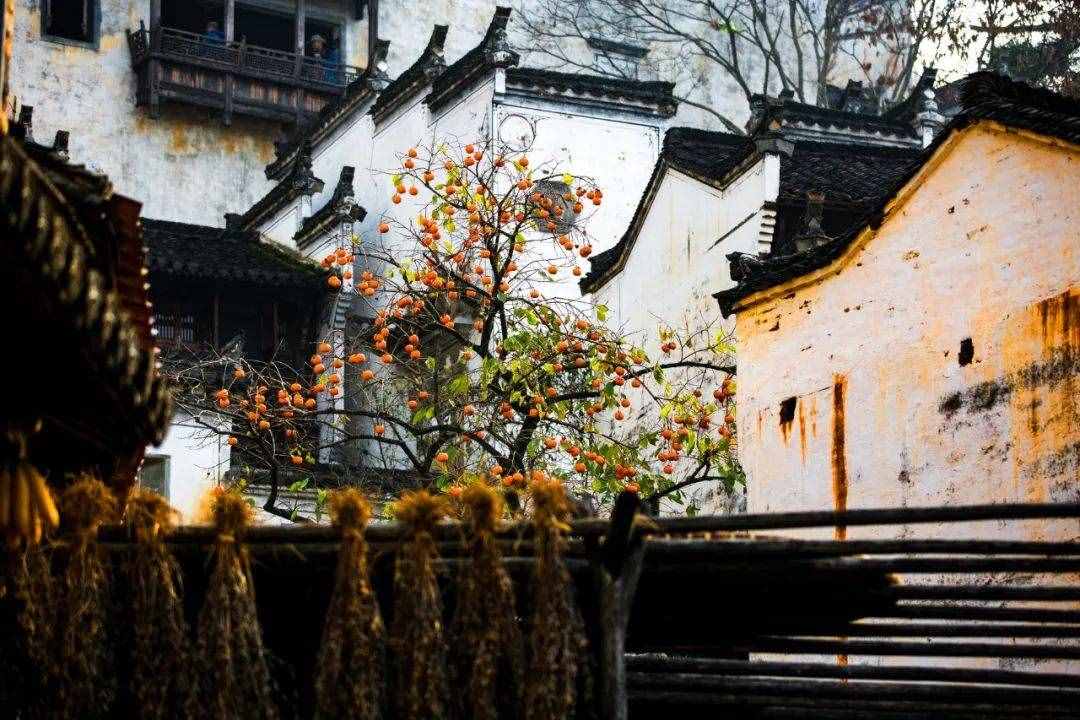 8首秋分詩(shī)詞：在詩(shī)詞里，走一趟秋天