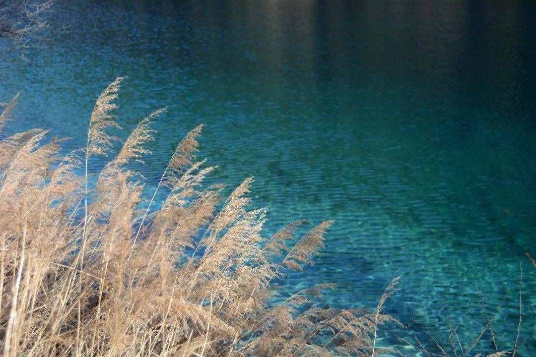 8首秋分詩(shī)詞：在詩(shī)詞里，走一趟秋天
