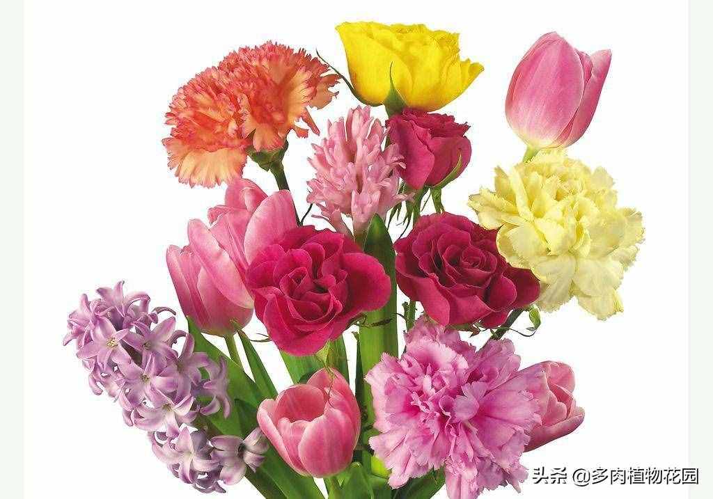 教師節(jié)，送給老師這些花吧