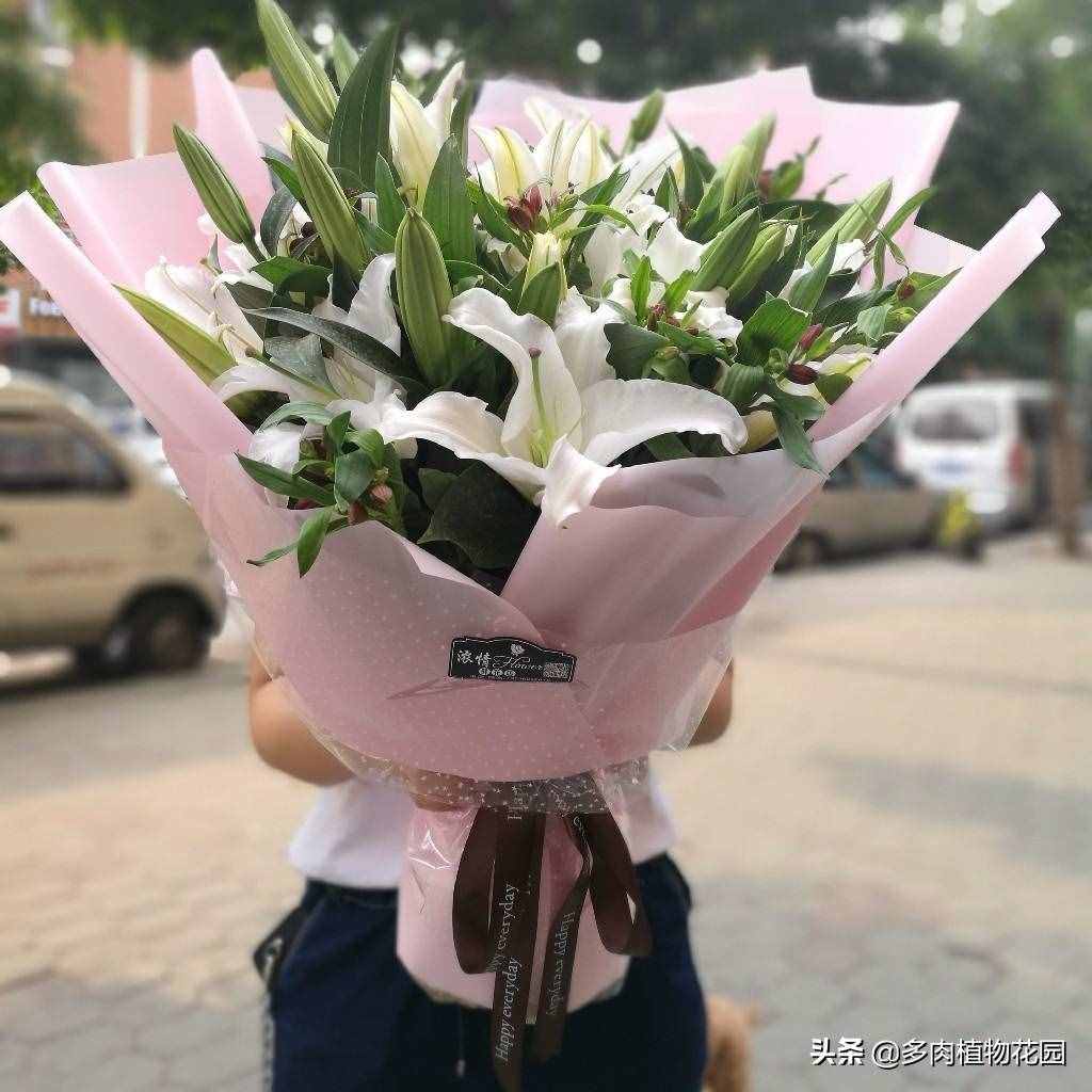 教師節(jié)，送給老師這些花吧