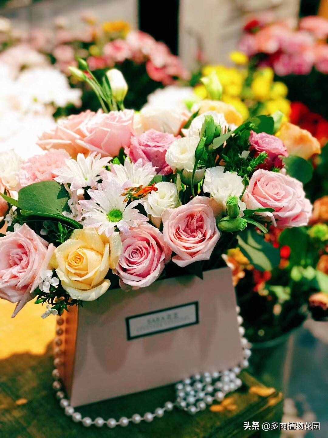 教師節(jié)，送給老師這些花吧