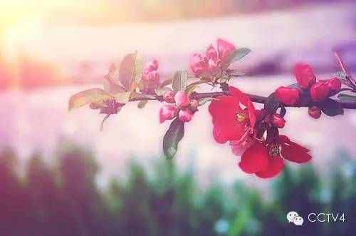 四月，值得你關(guān)注的日子
