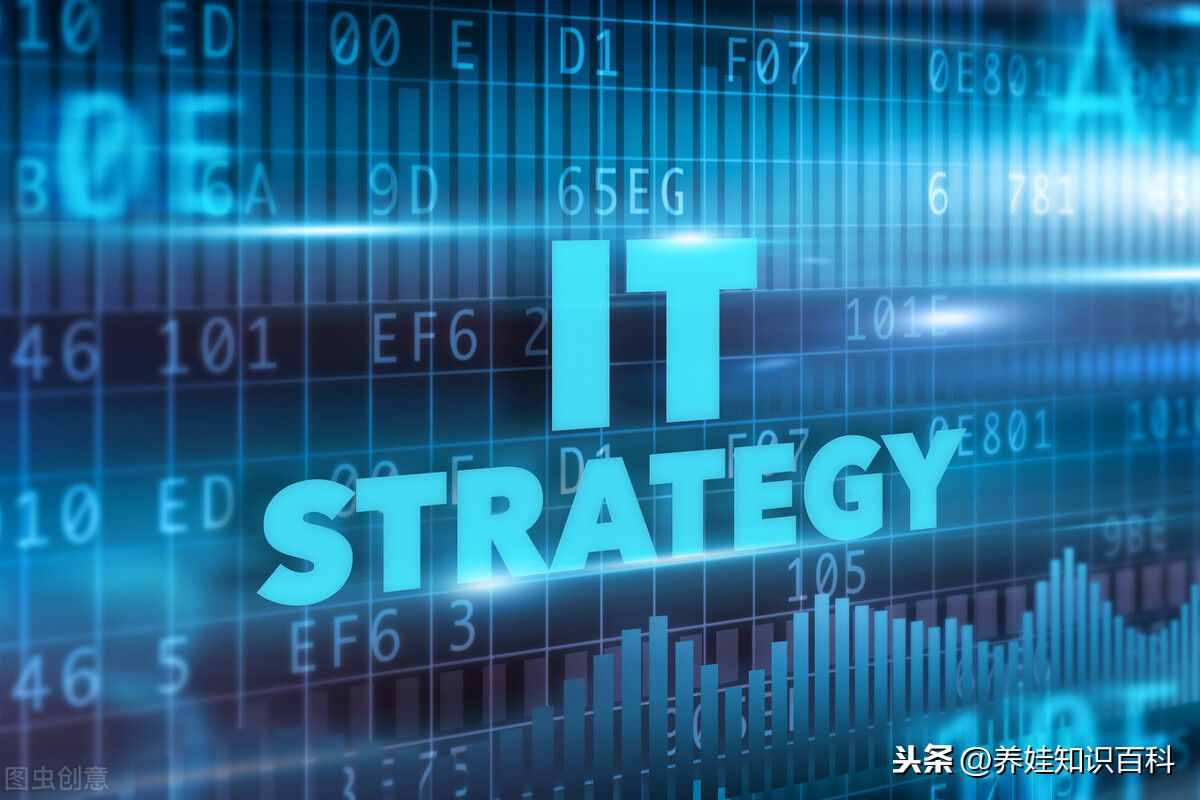it行業(yè)有哪些專業(yè)？教育部總結(jié)：it專業(yè)分兩大類型，共計(jì)9種