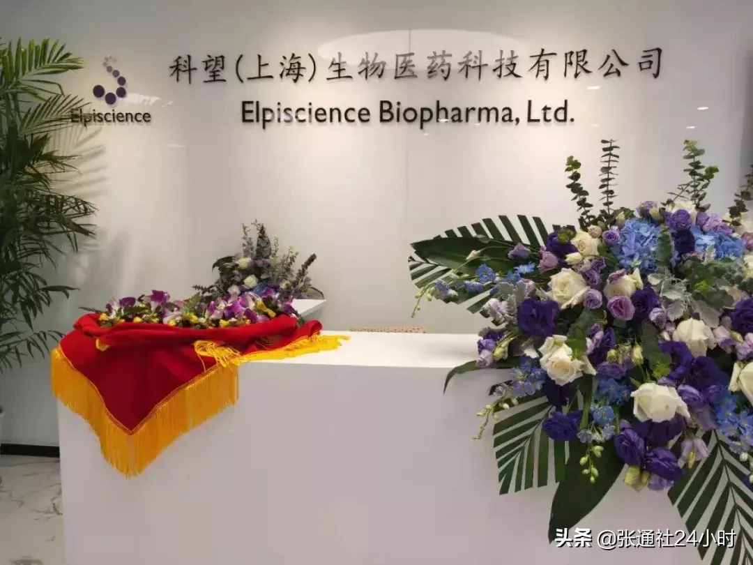 從今天開始，請認識蔡倫路
