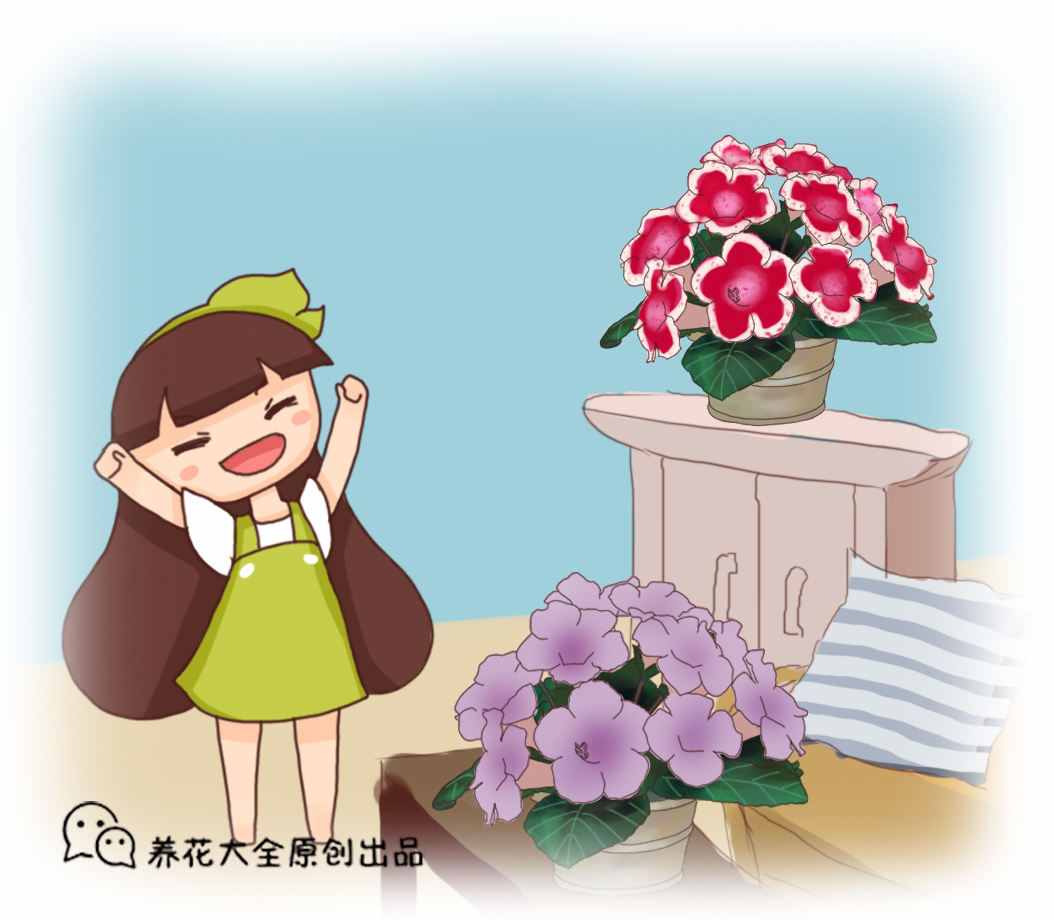 鮮花保鮮時間短？花店保鮮小方法，輕松延長保鮮期