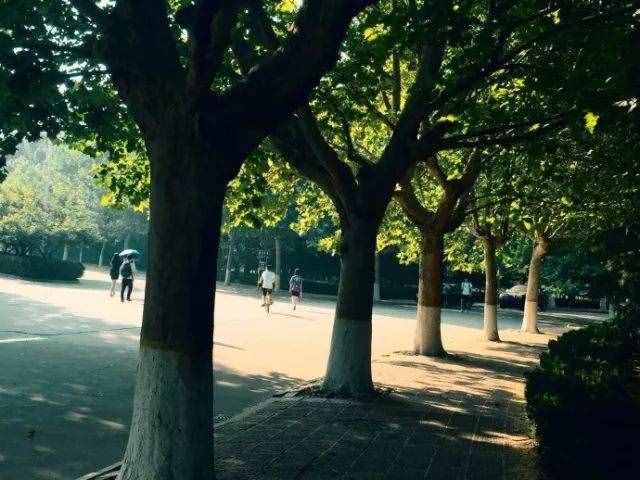對不起，我要去濰坊了，別再找我……
