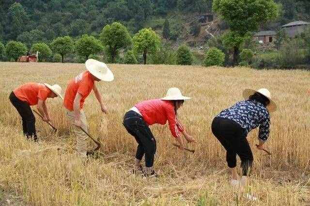 對不起，我要去濰坊了，別再找我……