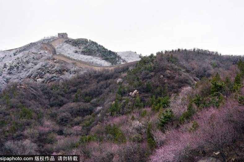 清明假期去哪玩？登京郊這6處長城賞漫山春花，與悠久歷史對話！