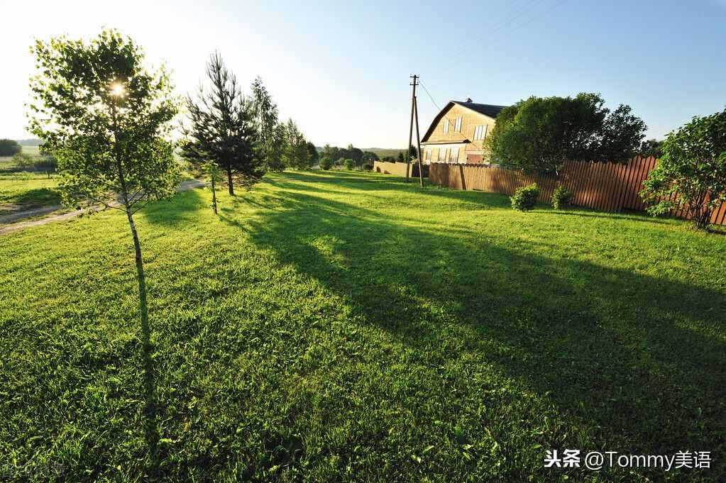 每天記一個(gè)單詞（第3512）flat