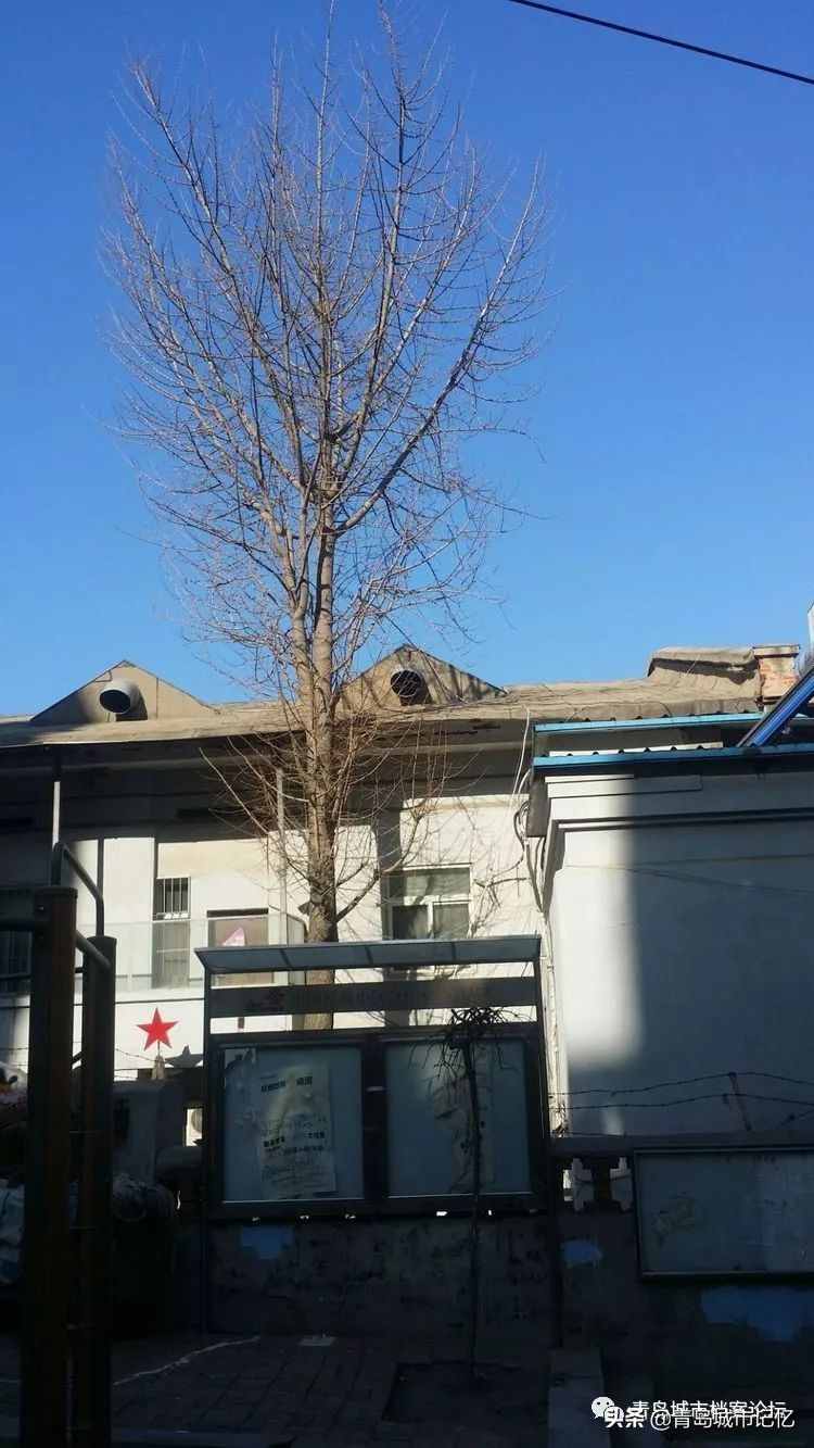 舊影里的大光明電影院，老臺東難忘的記憶