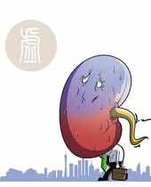 大家都知道的補(bǔ)腎小常識