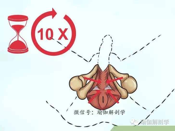 什么是PC??？怎么鍛煉PC肌？