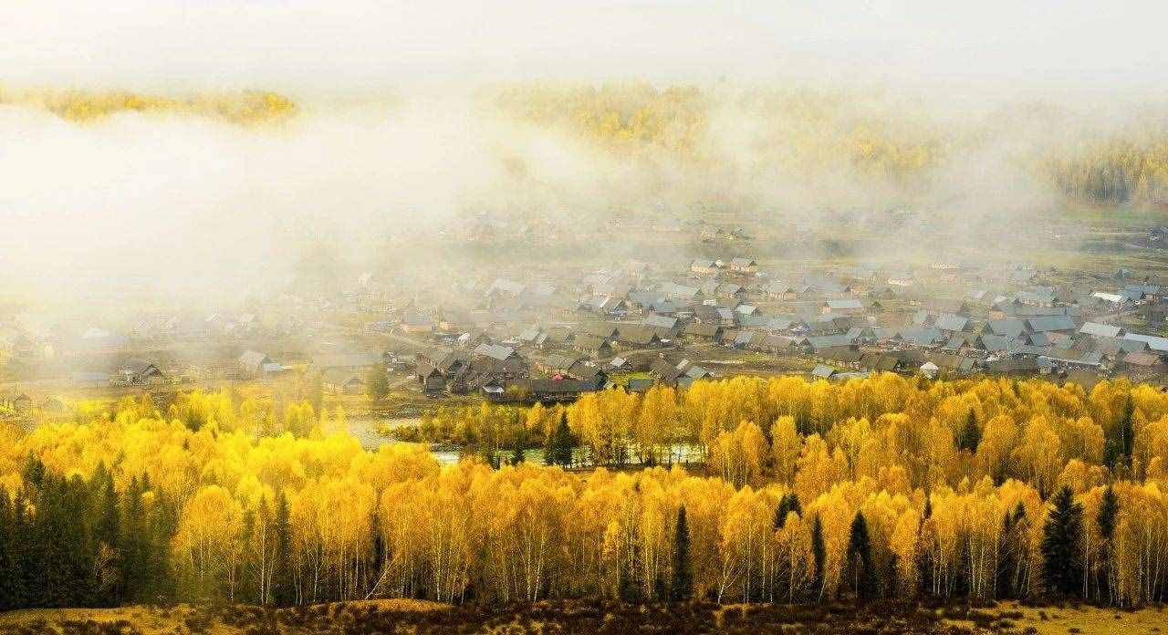 名家筆下的秋天，迷了眼，醉了心！學著如何寫秋天