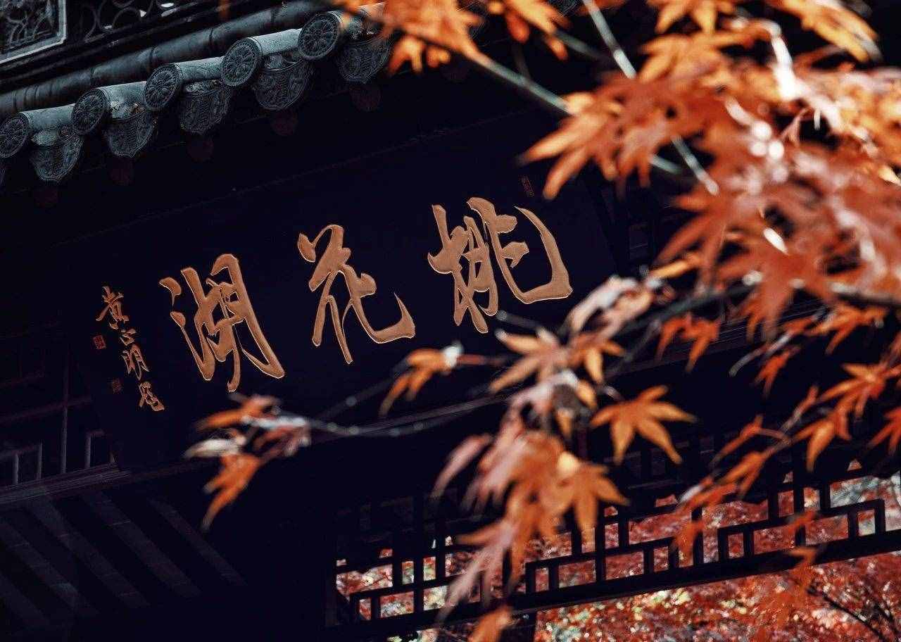 名家筆下的秋天，迷了眼，醉了心！學著如何寫秋天